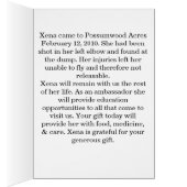 Adopt Xena the Red-Tailed Hawk- In Your Honor Cards (Inside (Right))