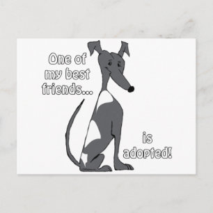 Adopted~BlackandWhite Postcard