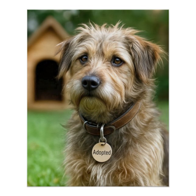 Adopted Scruffy Dog With Dog House Poster (Front)
