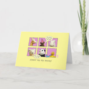 Adoption Baby Girl Animals in Windows Card