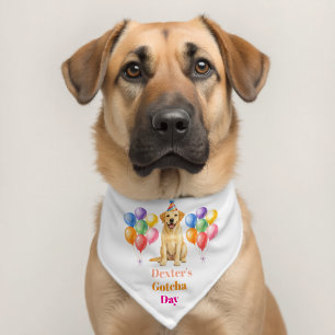 Adoption Party Gotcha day Labrador Dog Pet Bandana Collar