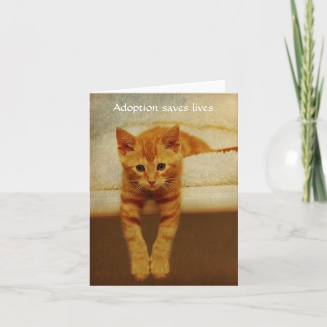 Adoption Save Lives Orange Kitten Notecard (Front)