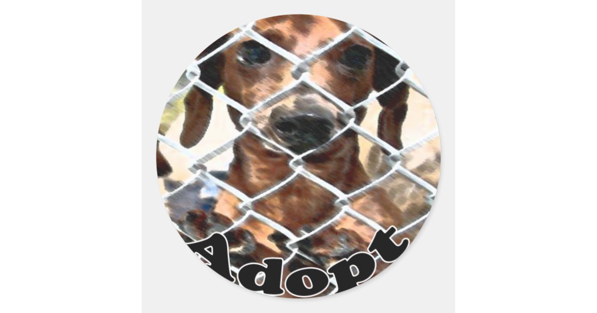 Adoption Sticker | Zazzle