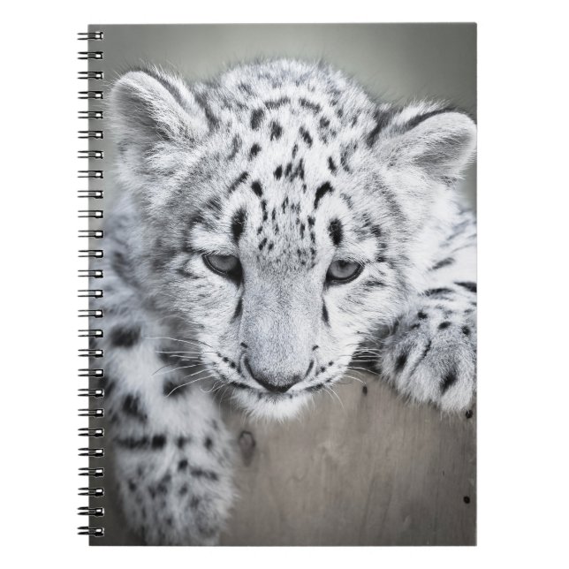 Adorabe Snow Leopard Cub Notebook (Front)