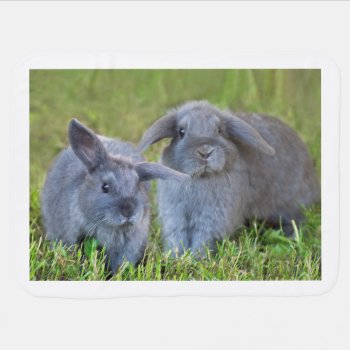 Adorable 2-sided Holland Lop Bunnies Baby Blanket by oinkpix at Zazzle