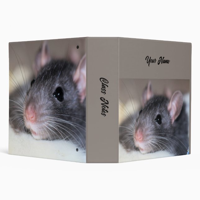 Adorable 3 Ring Binder (Background)