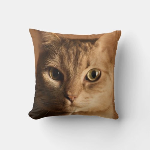 Adorable adult cat picture warm colors cat lover throw pillow
