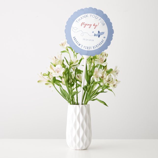 Adorable Airplane How Time Flies Birthday Party  Balloon (Vase)