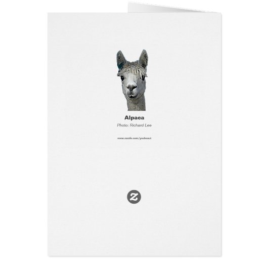 Adorable Alpaca (Back)