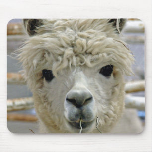 Adorable Alpaca Mouse Pad