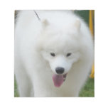 Adorable American Eskimo Dog Notepad