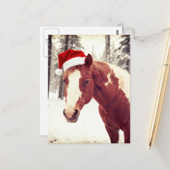 Adorable and Cute Christmas Paint Horse Postcard (Front/Back In Situ)