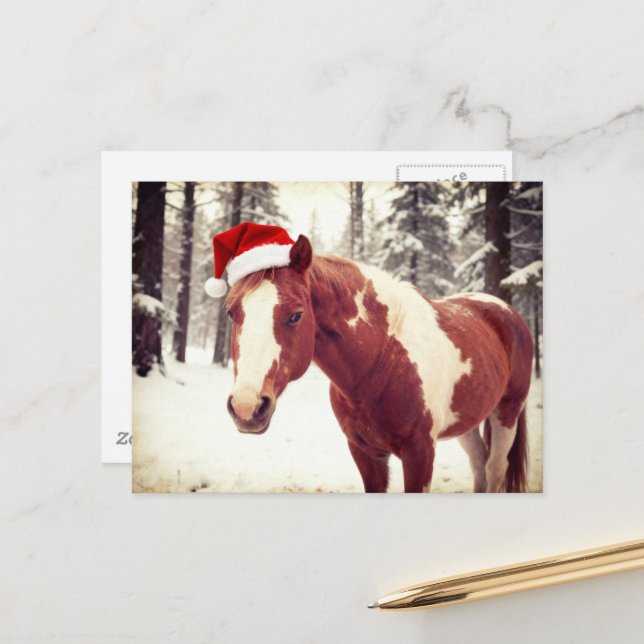 Adorable and Cute Christmas Paint Horse Postcard (Front/Back In Situ)
