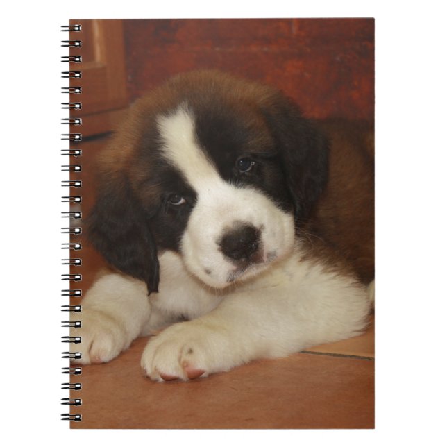 Adorable and Sweet St. Bernard Puppy Notebook (Front)