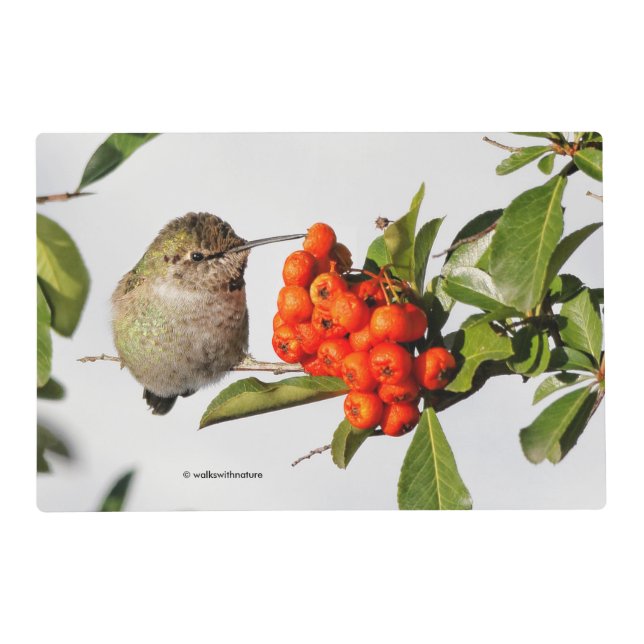 Adorable Anna's Hummingbird on Berry Bush Placemat (Front)