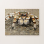 Adorable Arachnid Jumping Spider Photo Puzzle<br><div class="desc">Arachnid lovers,  would-be Spidermen -- and all small boys -- here's a stunning close-up photo of a scary large jumping spider. He's hairy,  and he has big eyes.</div>