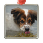 Adorable Australian Shepherd Metal Ornament