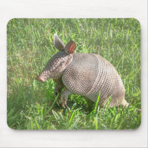 Adorable Baby Armadillo Mouse Pad