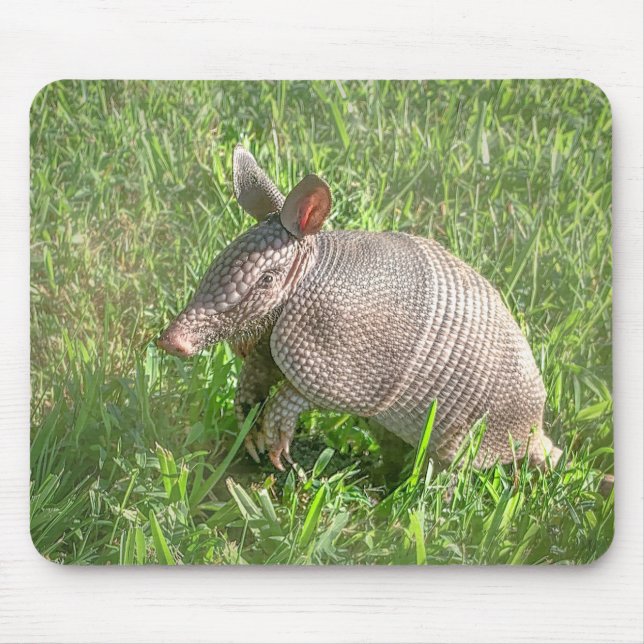 Adorable Baby Armadillo Mouse Pad (Front)
