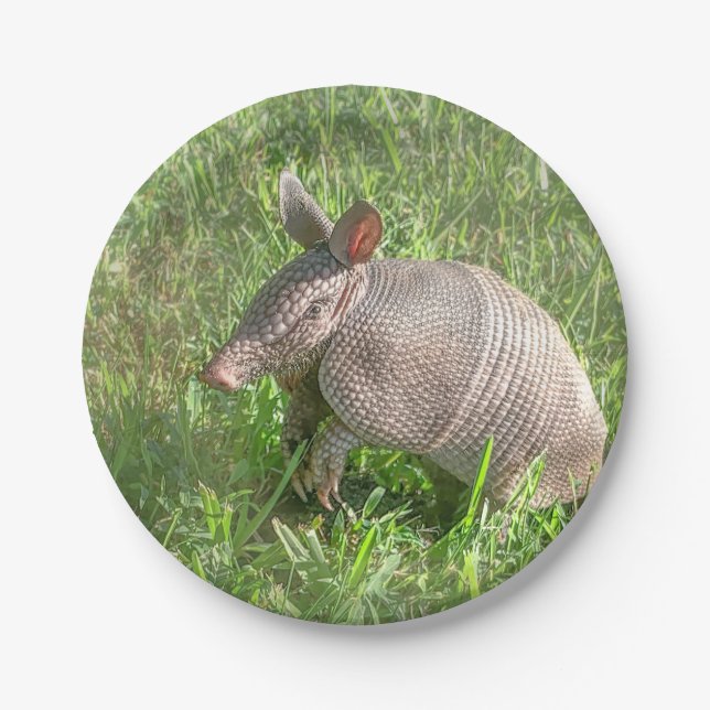 Adorable Baby Armadillo Paper Plates (Front)