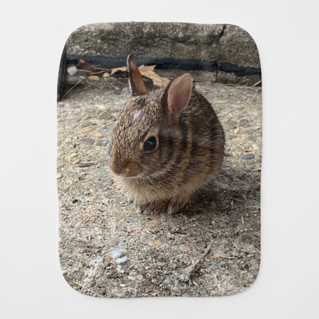 Adorable baby bunny burp cloth (Front)