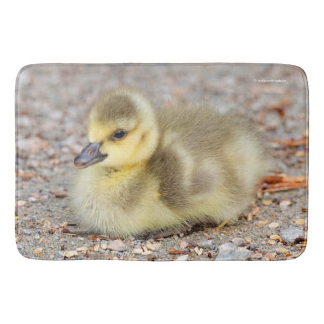 Adorable Baby Canada Goose on the Gravel Bathroom Mat (Front)