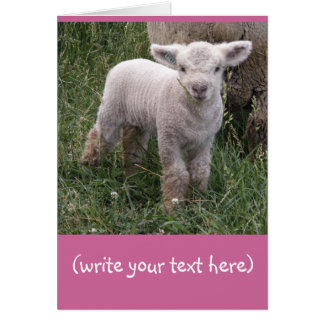 Adorable Baby Cards