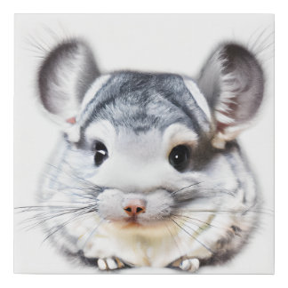 Adorable Baby Chinchilla  Faux Canvas Print