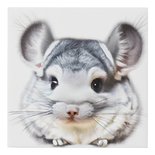 Adorable Baby Chinchilla  Faux Canvas Print (Front)
