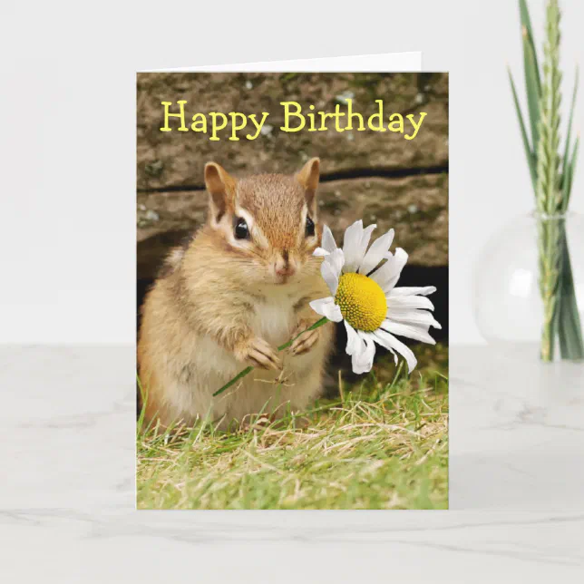 Adorable Baby Chipmunk with Daisy - Happy Birthday Card | Zazzle