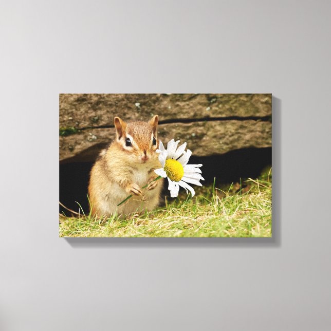 Adorable Baby Chipmunk with Daisy Wrapped Canvas Print (Front)