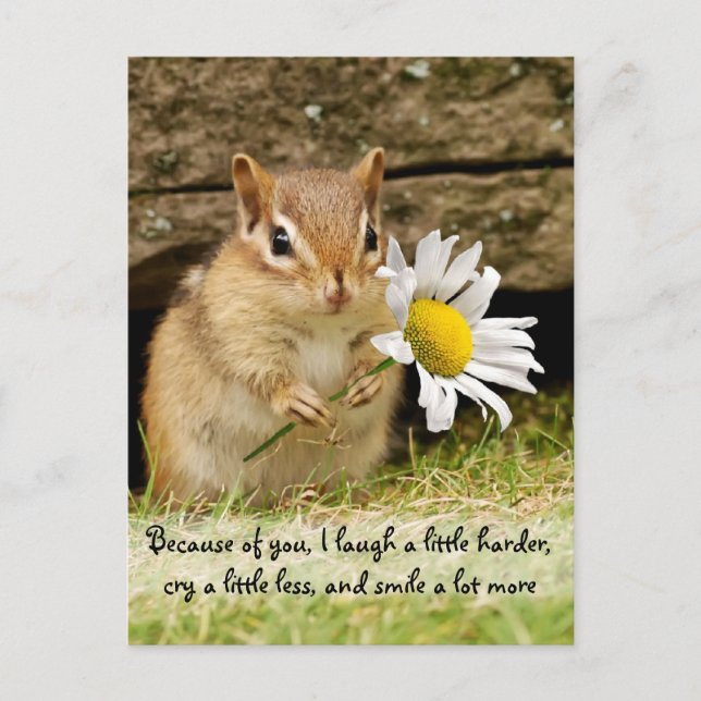 Adorable Baby Chipmunk with Friendship Quote Postcard (Front)