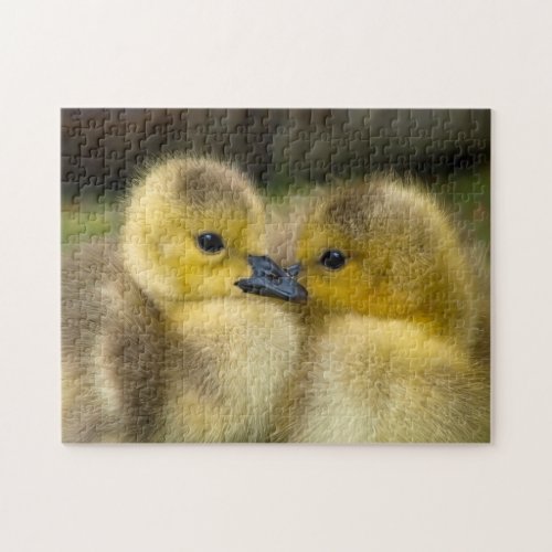 Adorable Baby Ducklings Cuddling Jigsaw Puzzle