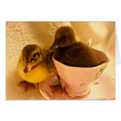 Adorable Baby Ducklings in Pink Tea Cup (Front Horizontal)