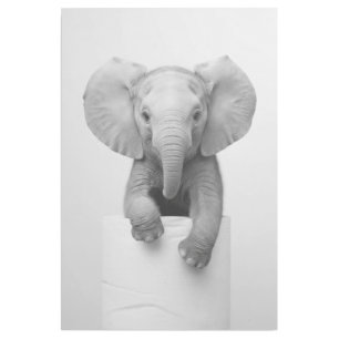 Adorable Baby Elephant Peeking Over Toilet Paper Gallery Wrap