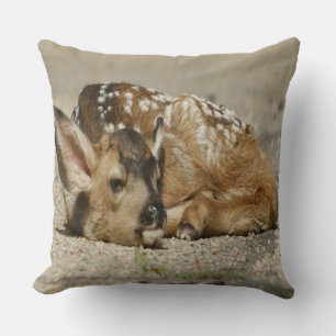 Adorable Baby Fawn Throw Pillow