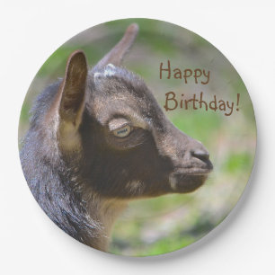 Adorable Baby Goat Birthday Paper Plates