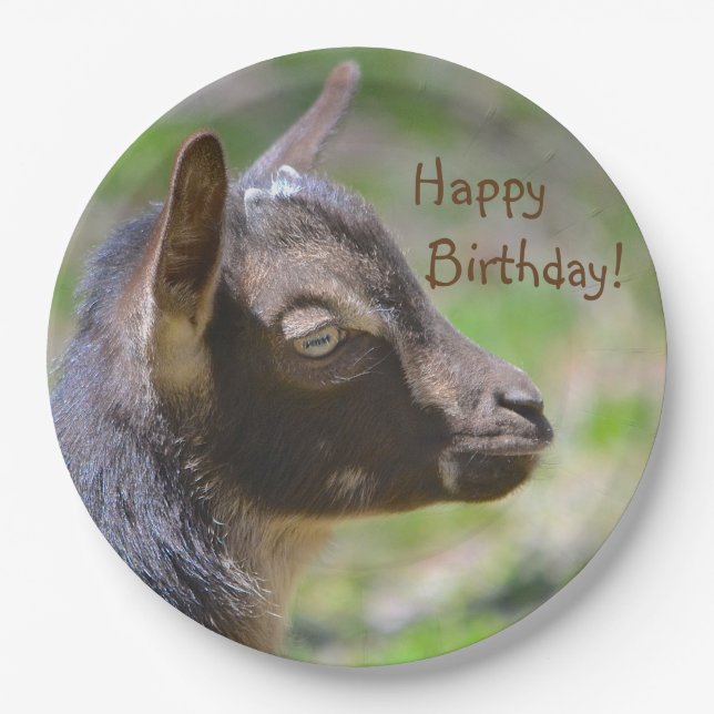 Adorable Baby Goat Birthday Paper Plates (Front)