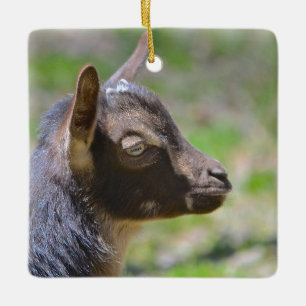 Adorable Baby Goat Ceramic Ornament