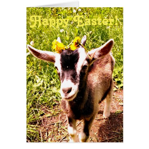 Adorable Baby Goat Easter Card | Zazzle