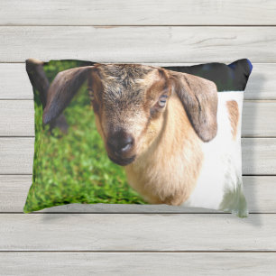 Adorable Baby Goat Outdoor Pillow