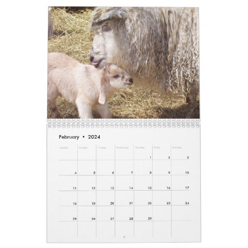 Adorable Baby Goats Calendar Zazzle