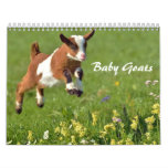 Adorable Baby Goats Calendar at Zazzle