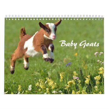 Adorable Baby Goats Calendar by getyergoat at Zazzle