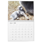 Adorable Baby Goats Calendar (Mar 2025)
