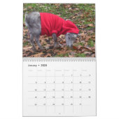 Adorable Baby Goats Calendar (Jan 2025)