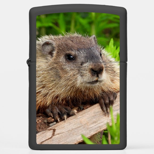 Adorable Baby Groundhog AKA Woodchuck Zippo Lighter (Front)