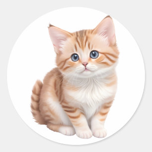 Adorable Baby Kitten Cute Classic Round Sticker