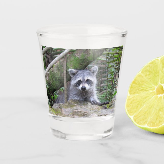 Adorable Baby Raccoon Shot Glass (Front)