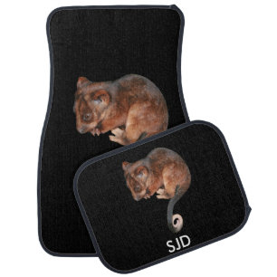 Adorable Baby Ringtail Possum in Australia Car Floor Mat